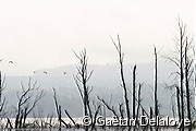 Lac&nbsp;Horbornga