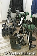 For�t&nbsp;de&nbsp;t�lescopes